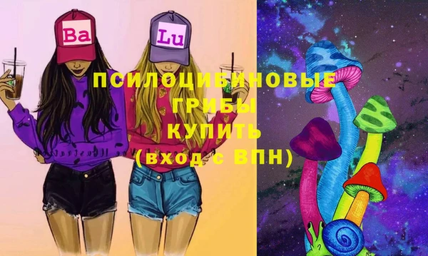 mdpv Переславль-Залесский