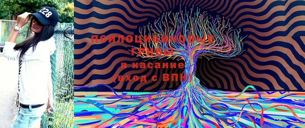 метадон Пересвет