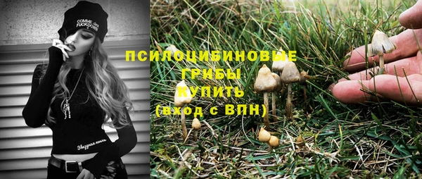 mdpv Переславль-Залесский