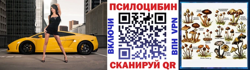наркота  Полярный  Галлюциногенные грибы ЛСД 