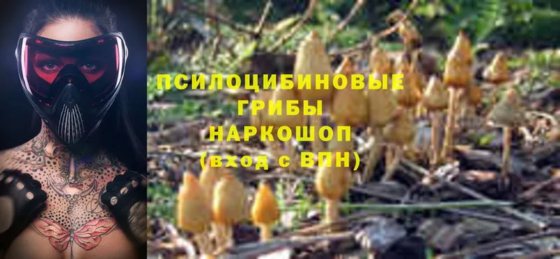 Псилоцибиновые грибы GOLDEN TEACHER  хочу   Полярный 