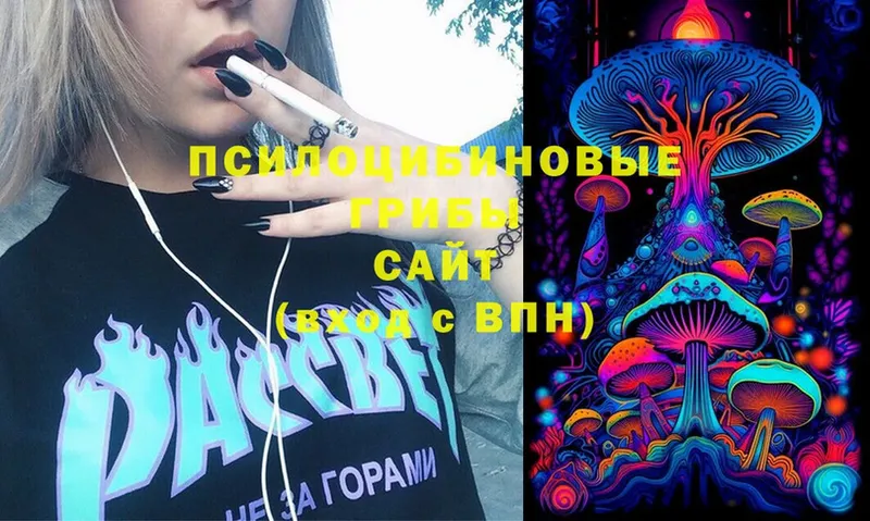 Галлюциногенные грибы Cubensis Полярный