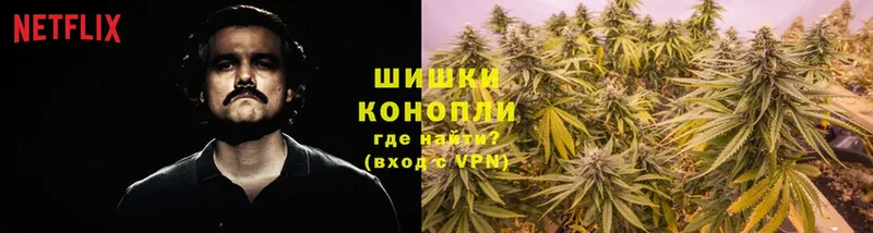 сколько стоит  Полярный  Конопля THC 21% 